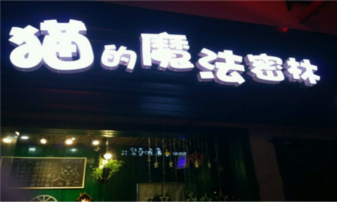 猫的魔法密林加盟