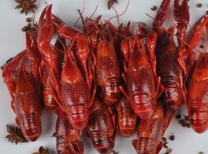 虾搞虾弄小龙虾产品 门店图片