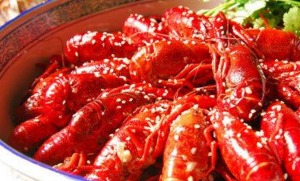 光头龙虾产品 门店图片