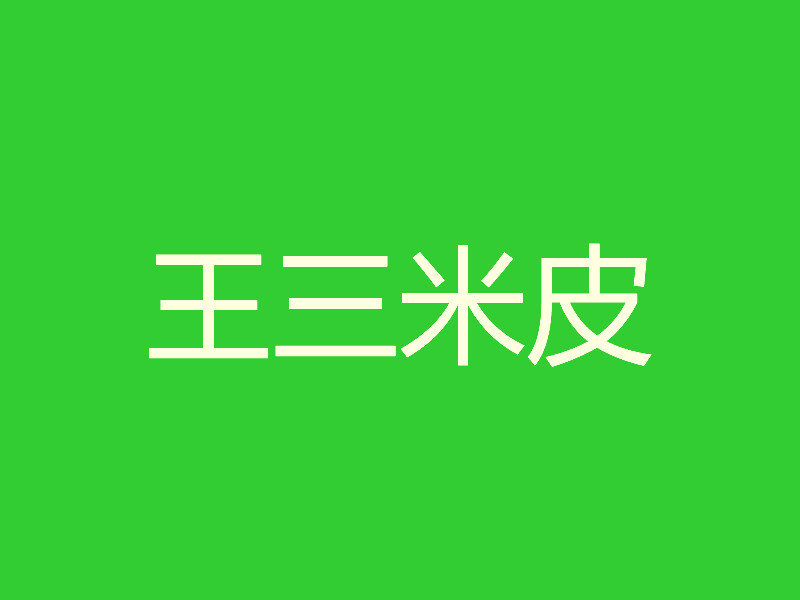 王三米皮加盟