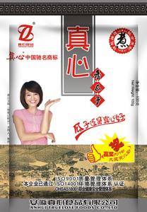 真心瓜子加盟