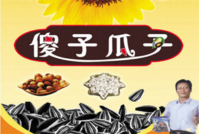 傻子瓜子加盟
