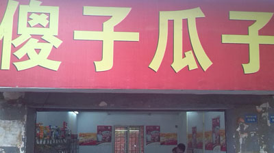 傻子瓜子