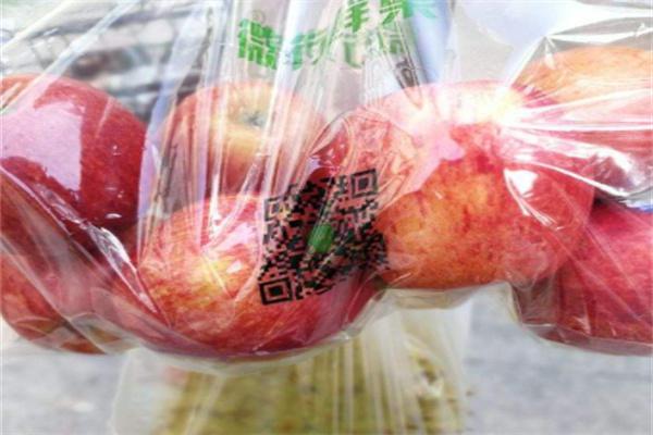 微行鲜果批发行