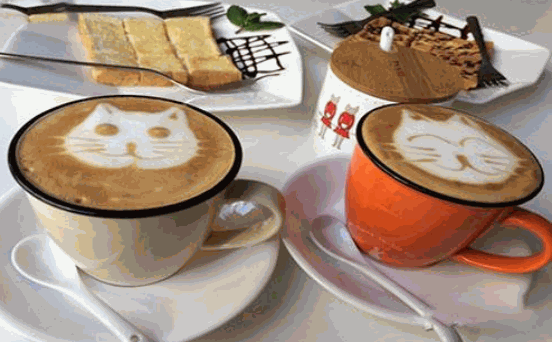猫窝咖啡产品 门店图片