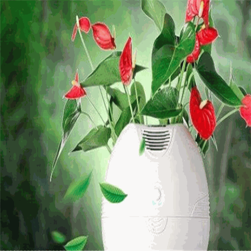 生泰宝空气净化器产品 门店图片