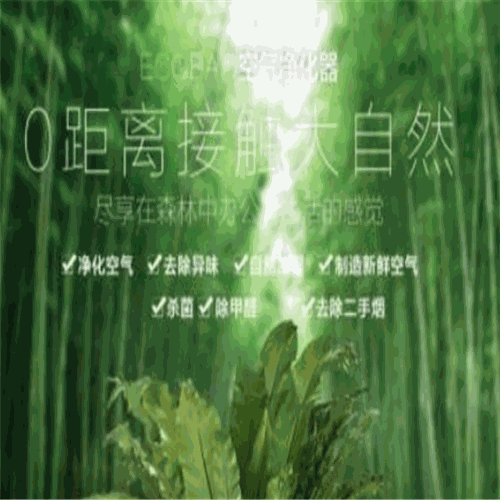 生泰宝空气净化器产品 门店图片