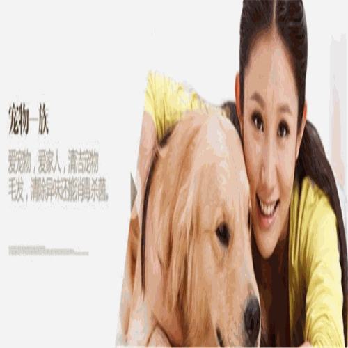 多普森空气净化器产品 门店图片