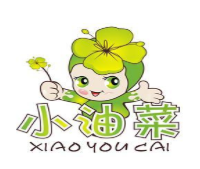 小油菜窗帘加盟