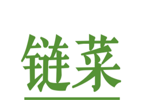 链菜网生鲜加盟