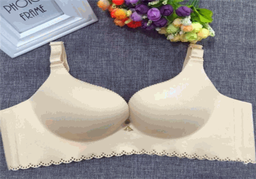 黛薇舒丽内衣产品 门店图片