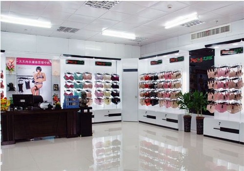 桃花季内衣产品 门店图片