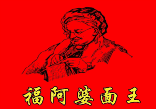 福阿婆面王加盟