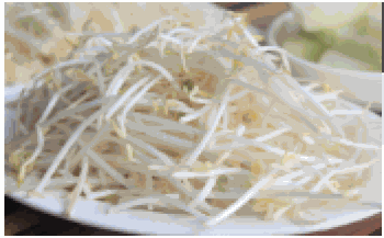 菜立方芽苗菜产品 门店图片
