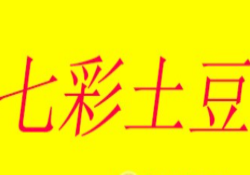 七彩土豆加盟