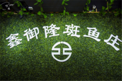 鑫御隆斑鱼庄加盟