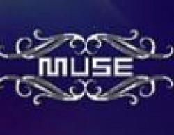 muse酒吧加盟