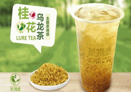 茶诱惑奶茶加盟