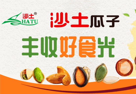 沙土瓜子怎么样