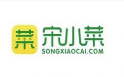 宋小菜加盟