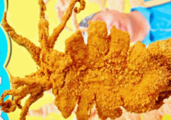 食界玩家轰炸大鱿鱼产品 门店图片