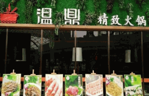 温鼎火锅加盟费多少钱