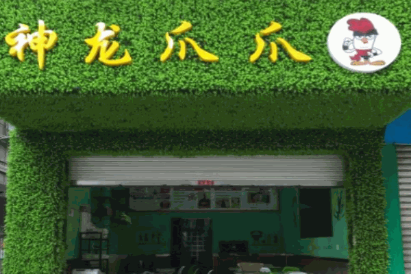 神龙爪爪