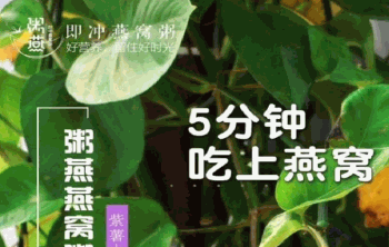 粥燕产品 门店图片