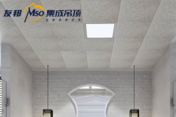 友邦吊顶产品 门店图片
