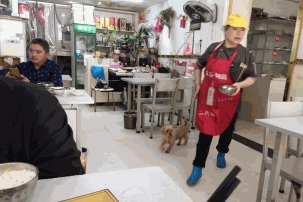 外婆养生粥