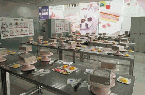 501美术教育加盟