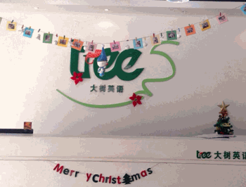 大树英语产品 门店图片
