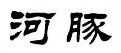 河豚鱼刺身加盟