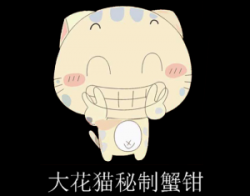 大花猫蟹钳加盟