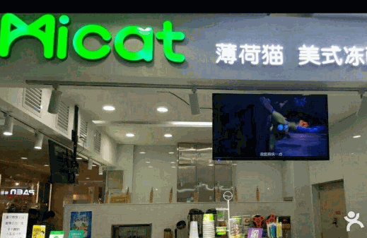 薄荷猫美式冻酸奶