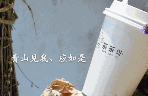 茶茶卟