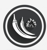真辣风快餐品牌logo