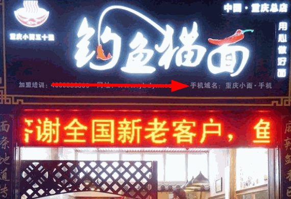 钓鱼猫面