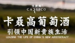 卡聂高红酒加盟