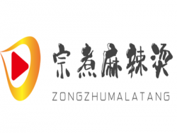 宗煮麻辣烫加盟