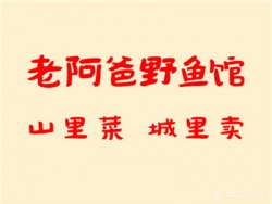 老阿爸野鱼馆加盟