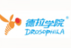 德拉学院STEAM教育加盟