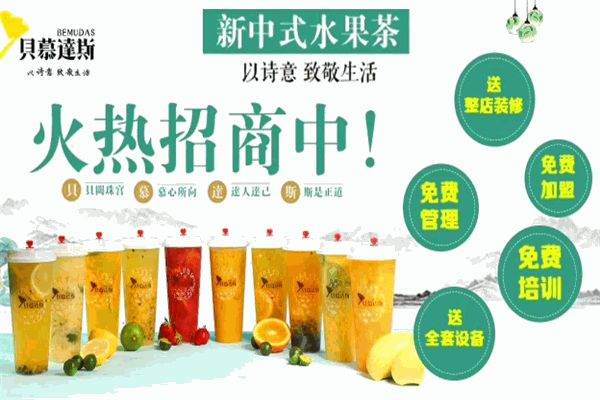贝慕达斯加盟