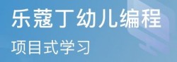 乐蔻丁少儿编程加盟