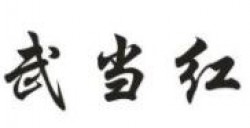 武当红加盟