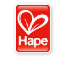 hape儿童玩具加盟