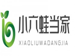 小六蛙当家