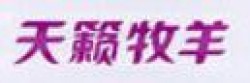 天籁牧羊奶粉加盟
