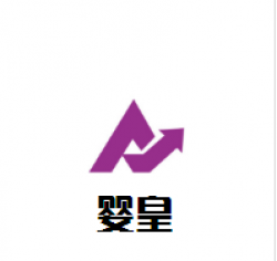 婴皇孕婴生活馆品牌logo