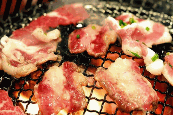 佶佰味土耳其烤肉产品 门店图片